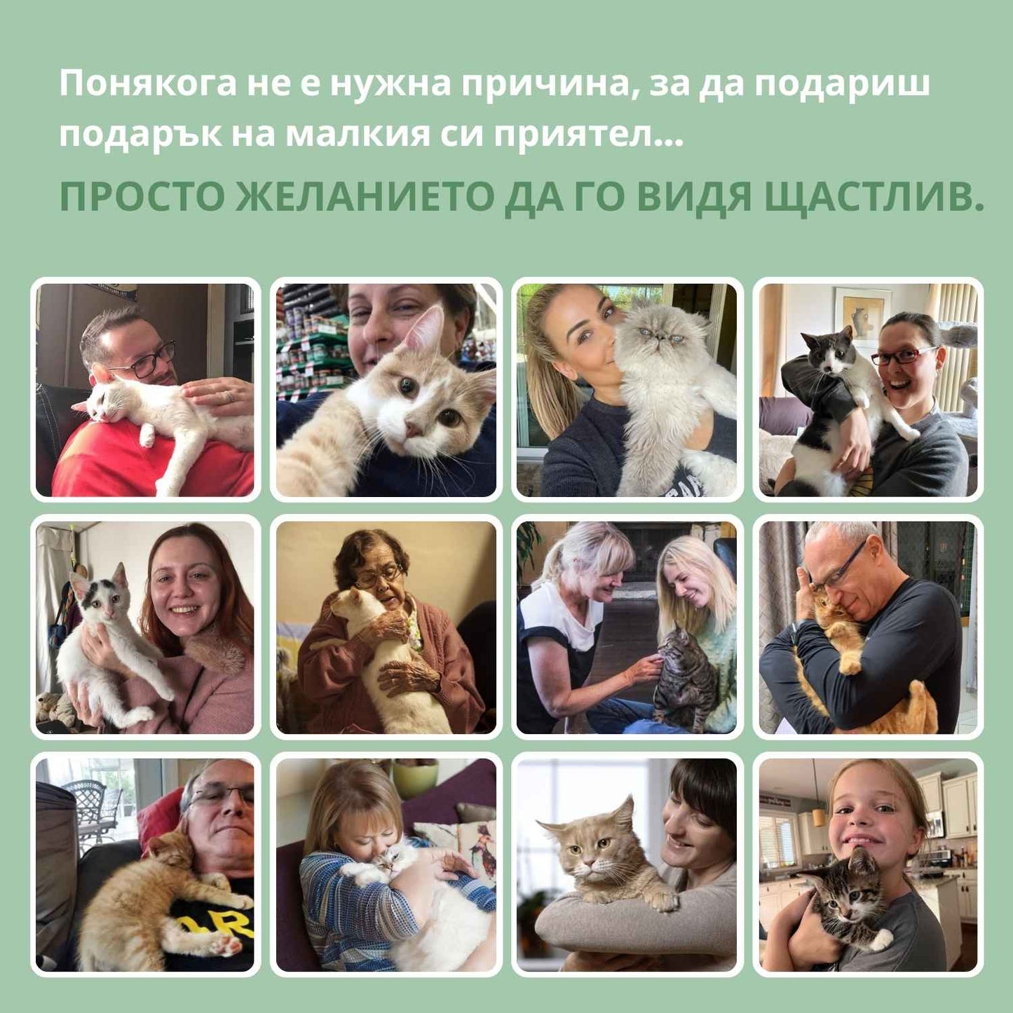 Интелигентна топка за котки, 100% автономна, проектирана да имитира истинска плячка.