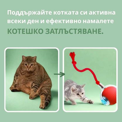 Интелигентна топка за котки, 100% автономна, проектирана да имитира истинска плячка.