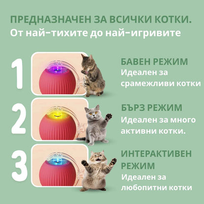 Интелигентна топка за котки, 100% автономна, проектирана да имитира истинска плячка.