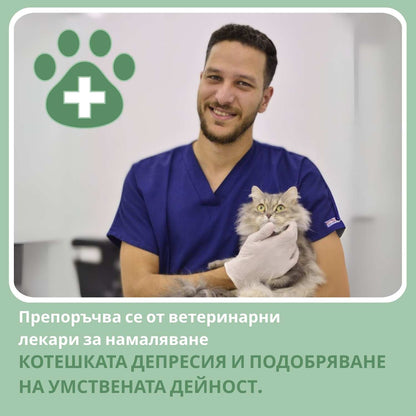Интелигентна топка за котки, 100% автономна, проектирана да имитира истинска плячка.