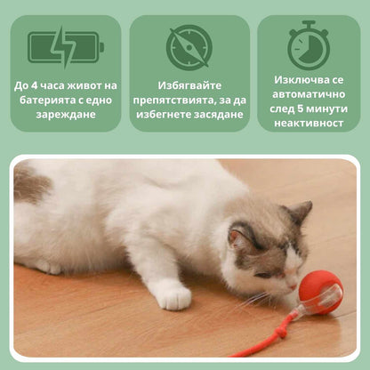 Интелигентна топка за котки, 100% автономна, проектирана да имитира истинска плячка.